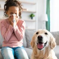 Cleaner Indoor Air: 5 Ways To Reduce Asthma and Allergy Triggers in Your Home Grand Island,Ne